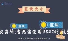 Tokenim交易所：当无法使用USDT时，该如何应对？