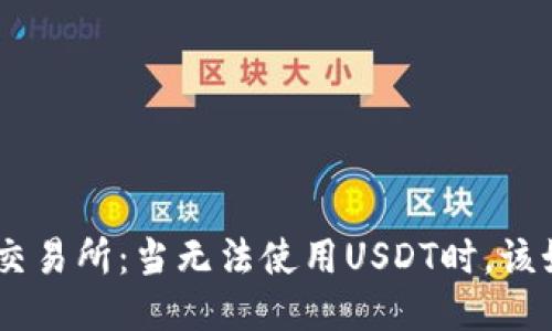 Tokenim交易所：当无法使用USDT时，该如何应对？
