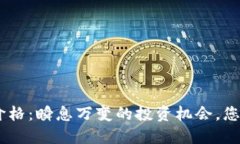 IMU币最新价格：瞬息万变的投资机会，您准备好