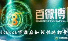 轻松上手！BitDock下载后如何快速打开与使用指南