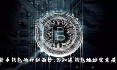 揭秘数字货币钱包的神秘面纱：你知道钱包地址