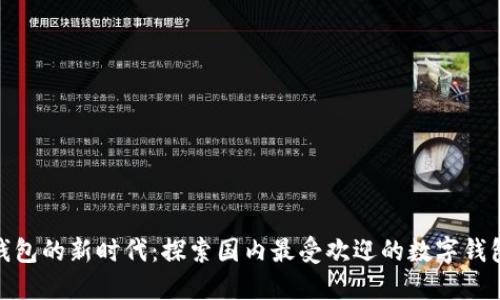 数字钱包的新时代：探索国内最受欢迎的数字钱包选择