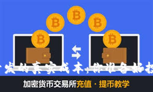 揭秘区块链开发的真实成本：你准备好投资未来了吗？