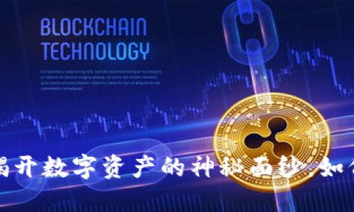虚拟币钱包一级市场：揭开数字资产的神秘面纱，如何选择最适合你的钱包？