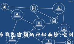 揭开加密货币钱包密钥的神秘面纱：它到底是谁