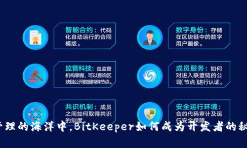 在代码管理的海洋中，BitKeeper如何成为开发者的秘密武器？